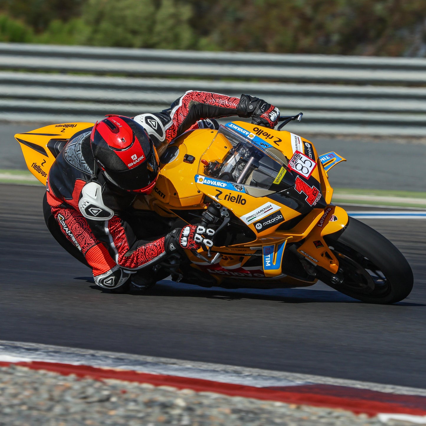 PRO MOTORCYCLE SUIT - KANGAROO LEATHER