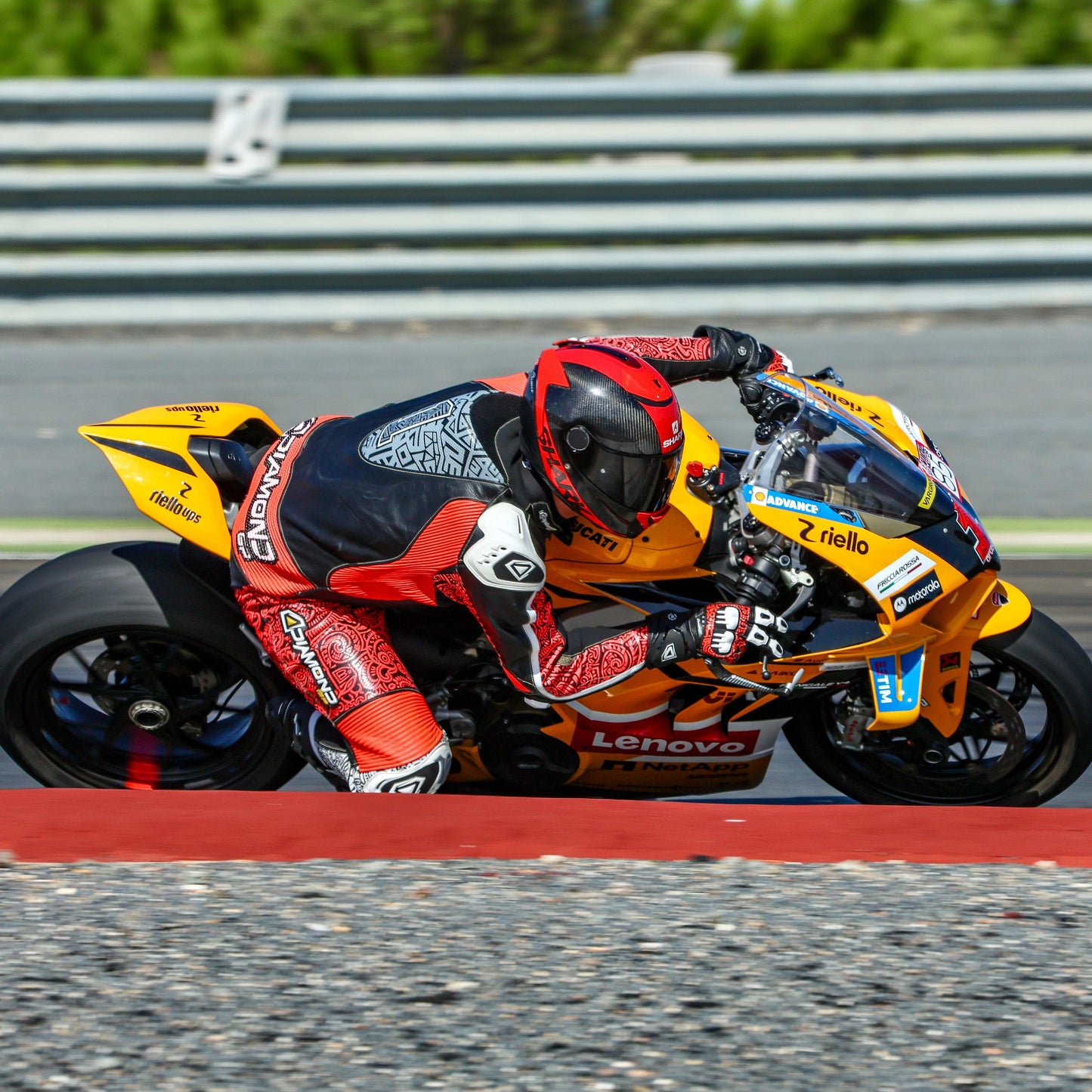 PRO MOTORCYCLE SUIT - KANGAROO LEATHER