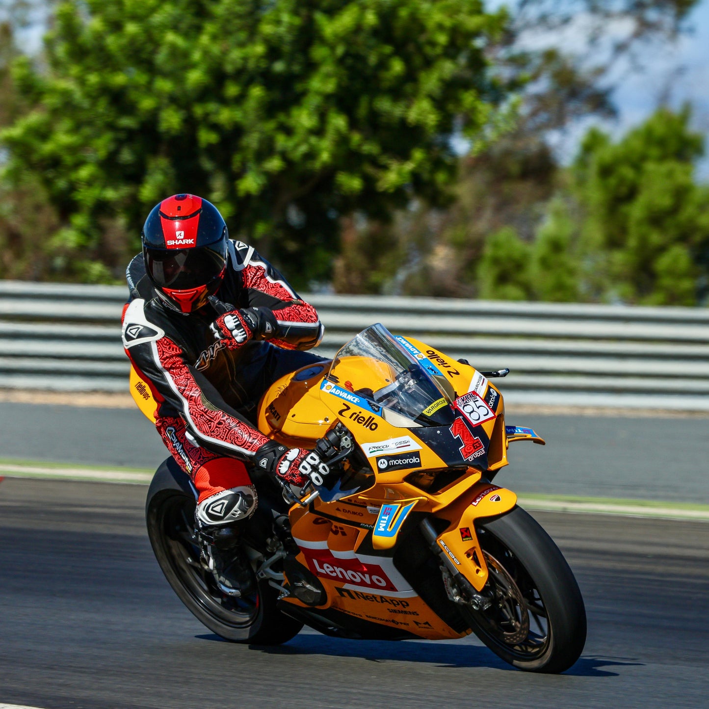 PRO MOTORCYCLE SUIT - KANGAROO LEATHER